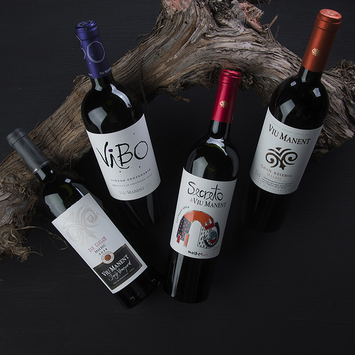 Viu Manent Mes del Malbec 2019